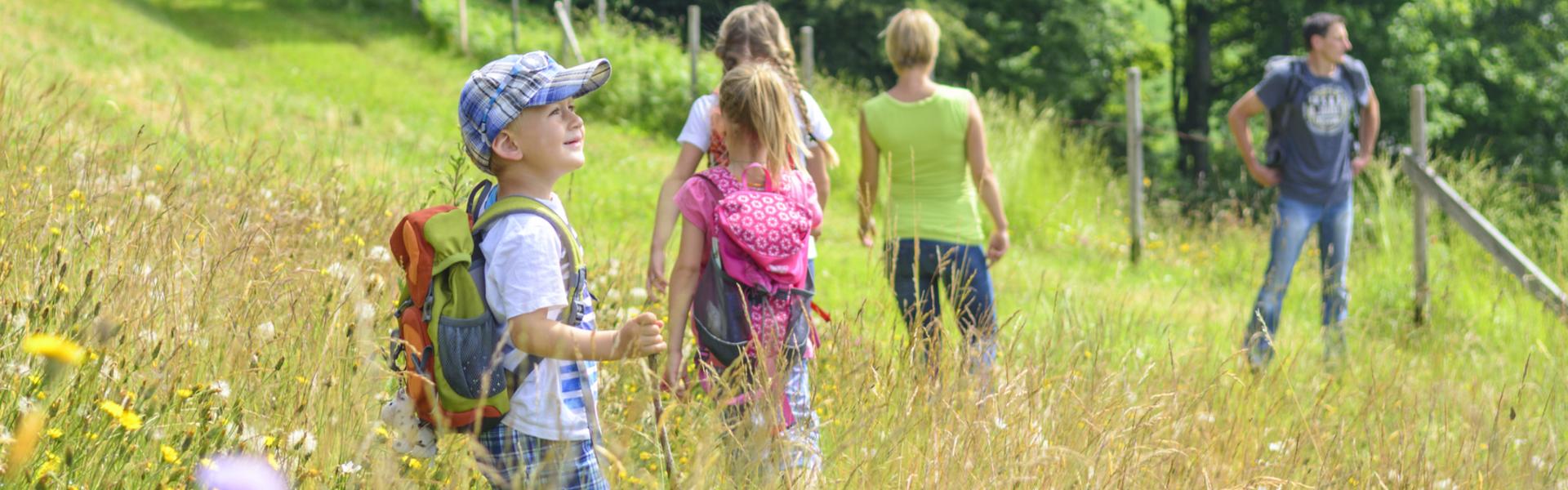 A family of 5 on a walk in the meadow