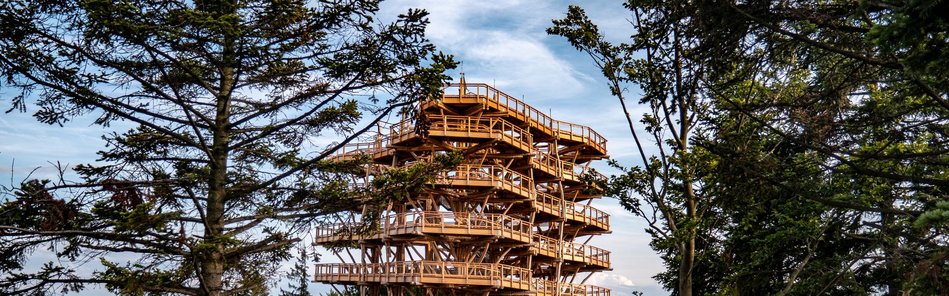 Słotwiny Arena Krynica Zdrój observation tower