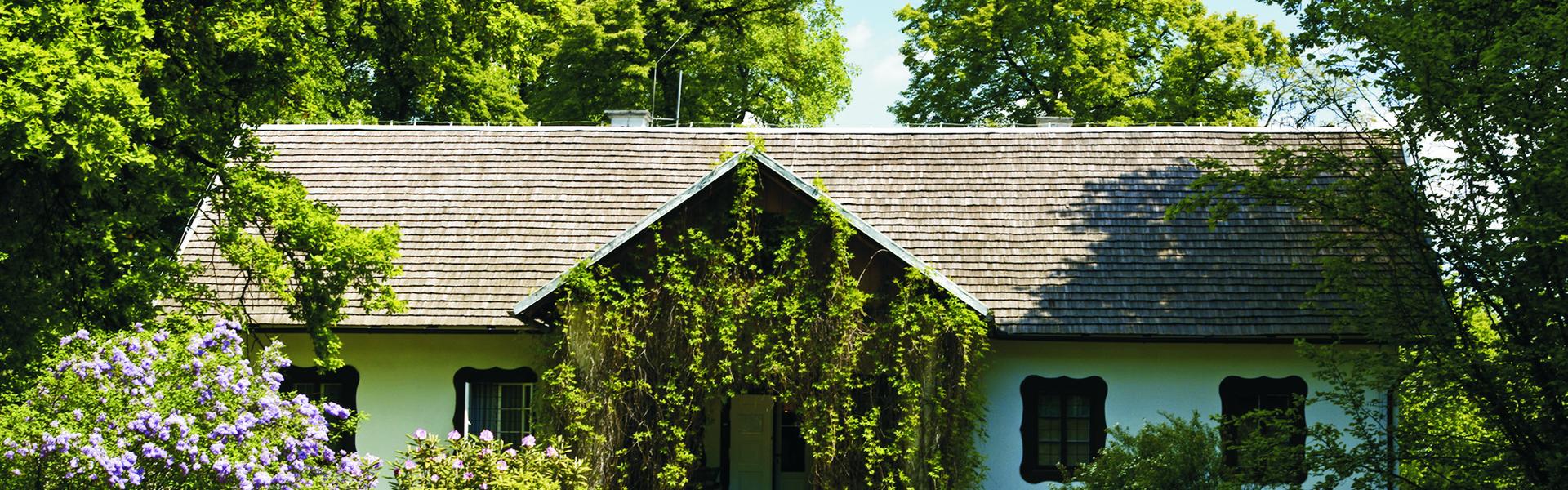 Ein weißes Herrenhaus mit vier Fenstern und einer Veranda in der Mitte. Mit grünen Weinreben bewachsene Veranda. Rund um die Büsche mit Blumen, Bäumen und grünem Gras. Blauer Himmel.