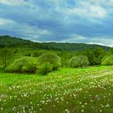 Obrazek: Magurski Park Narodowy