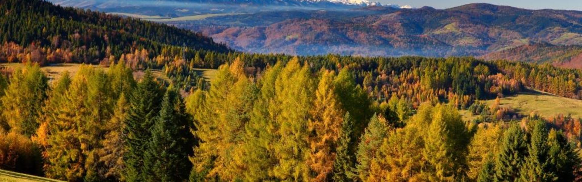 Beskid Sądecki Wierchomla