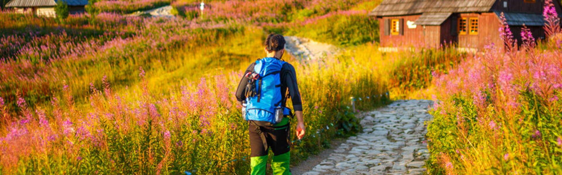 Frau, die auf einem Steinpfad auf der Alm Gąsienicowa in der Tatra wandert