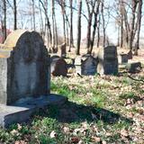 Image: Jewish cemetery in Dąbrowa Tarnowska