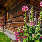 Bild: Bauernhaus von Sabała, Zakopane