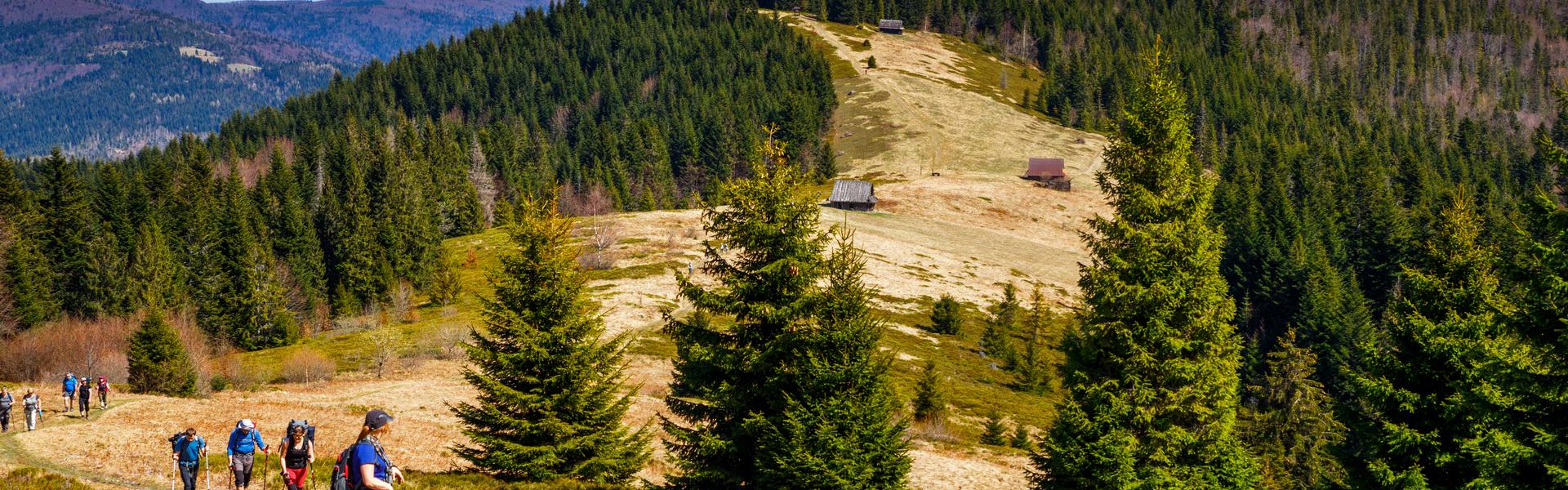 Lichtung auf dem Gipfel eines Hügels, umgeben von Wäldern, in der Ferne sieht man einen Wanderweg und Hirtenhütten