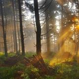 Bild: Na szlaku świętego Jakuba… Nordic Walking Park Gmina Słomniki