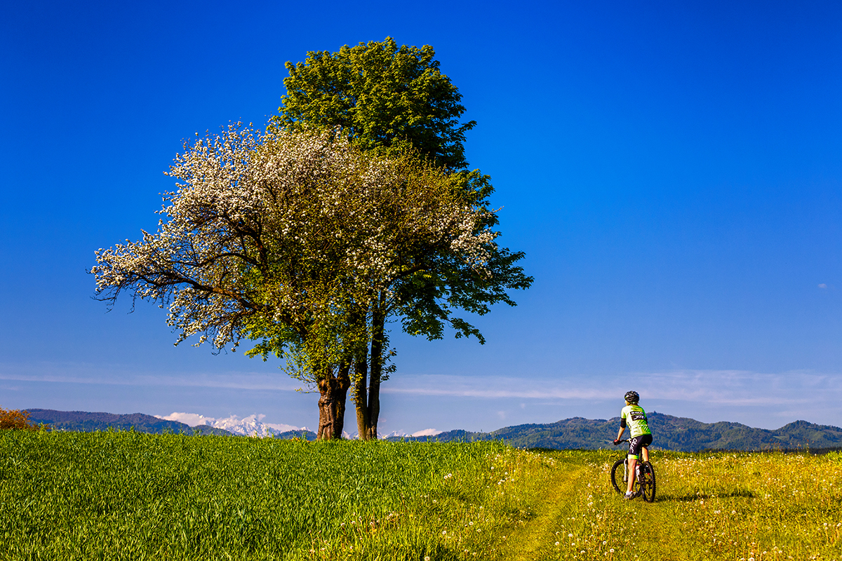 Beskid Sądecki