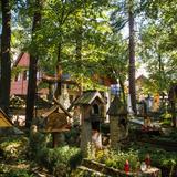 Image: Cemetery in Pęksowy Brzyzek