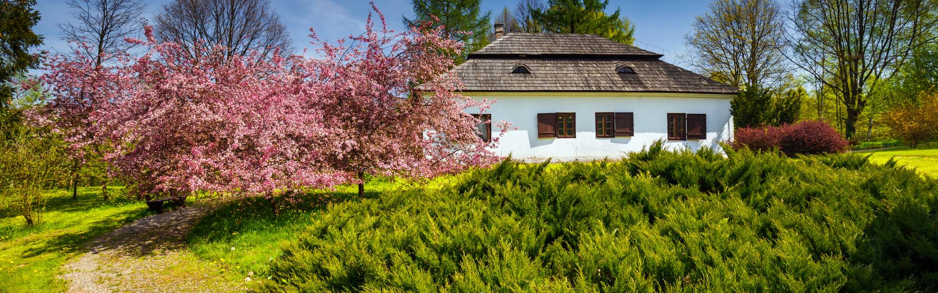 Das Foto zeigt das Freilichtmuseum in Nowy Sącz. Im Vordergrund sind Frühlingspflanzen, und im Hintergrund das Freilichtmuseum und ein Gebäude, das zum Galizischen Städtchen gehört, zu sehen.