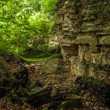 Bild: Naturschutzgebiet Bukowica