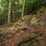 Bild: Naturschutzgebiet Teufelsfelsen Bukowiec