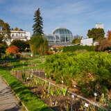 Bild: Botanischer Garten Kraków