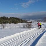 Obrazek: Trasy biegowe Nowy Targ i Szaflary