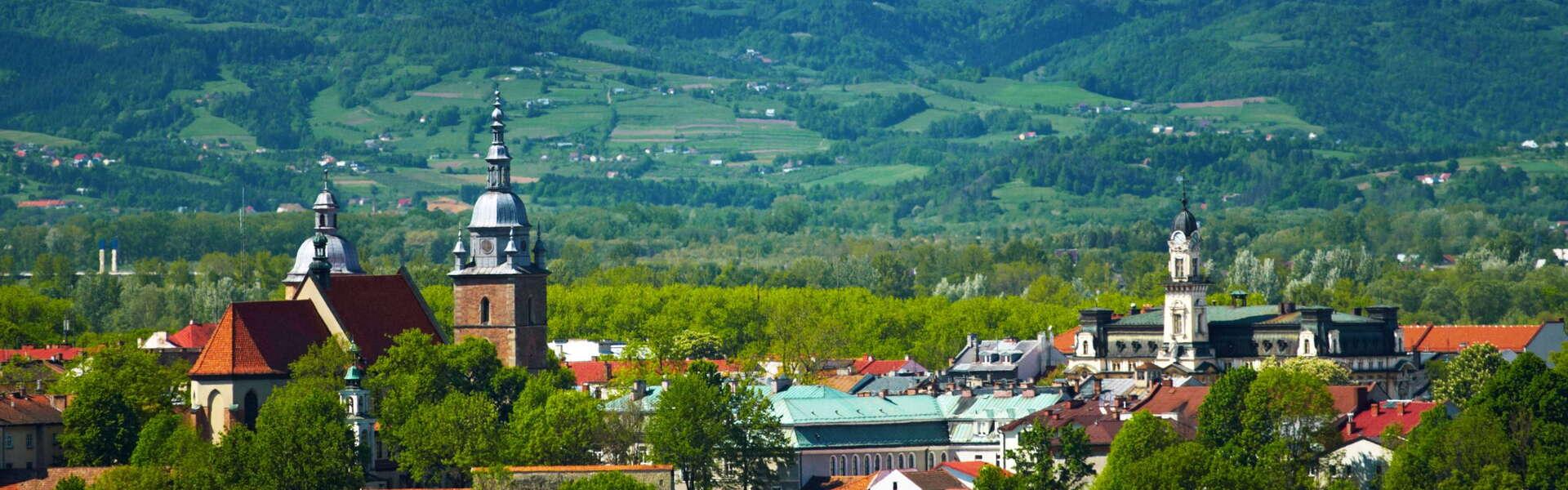 Widok na panoramę Nowego Sącza. W tle ośnieżone szczyty gór.