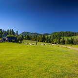 Bild: Wanderweg: Durch die Gebirgszüge Pieniny und Beskid Sądecki