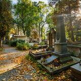 Image: Rakowicki Cemetery in Krakow